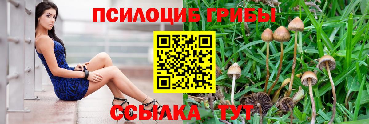 Карталы  Псилоцибиновые грибы Psilocybe  Вход с VPN 